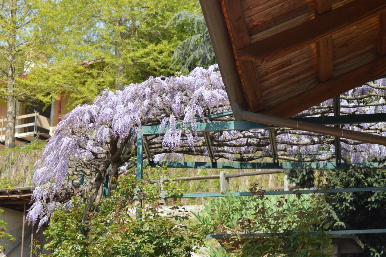 Busca L'Uovo E La Faina Bed & Breakfast エクステリア 写真