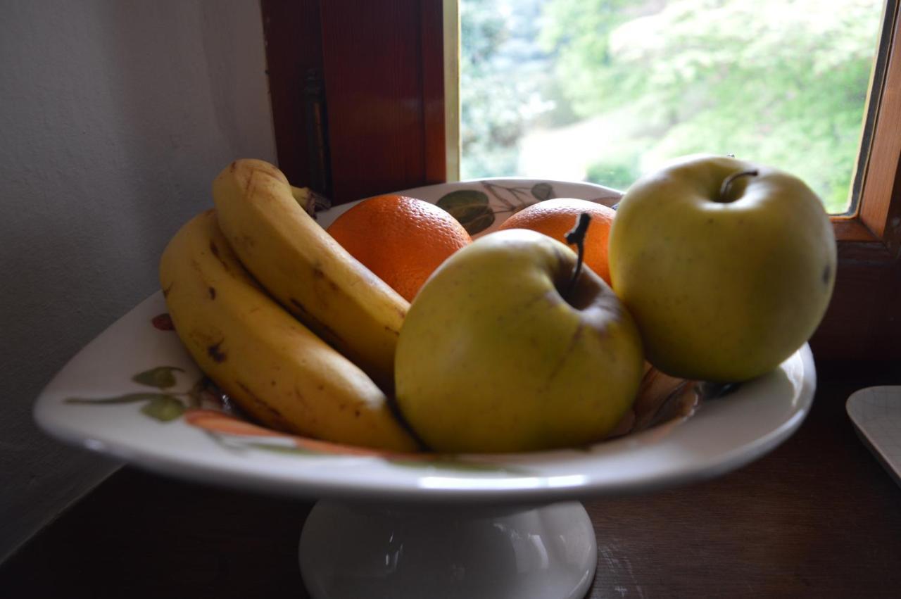 Busca L'Uovo E La Faina Bed & Breakfast エクステリア 写真